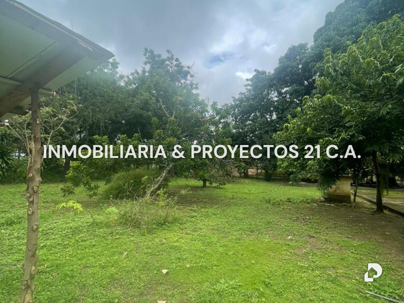 Terreno en Tinaquillo – 2