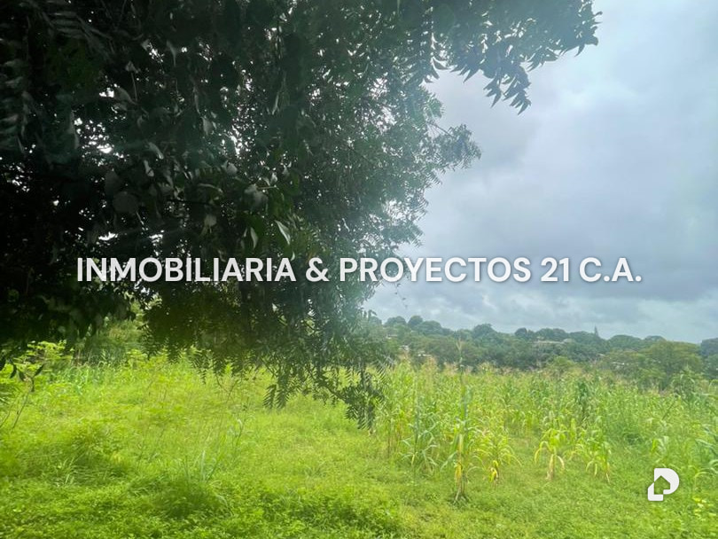 Terreno en Tinaquillo – 8