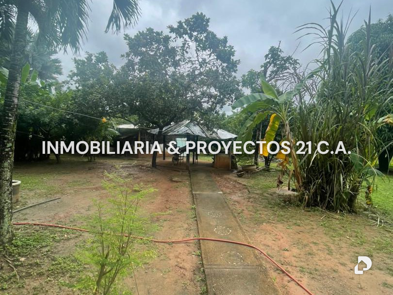 Terreno en Tinaquillo – 6