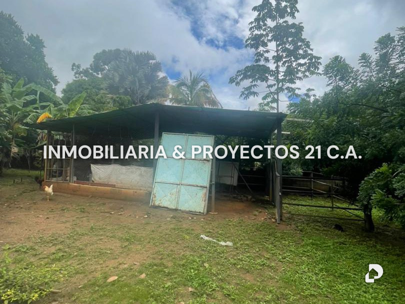 Terreno en Tinaquillo – 7