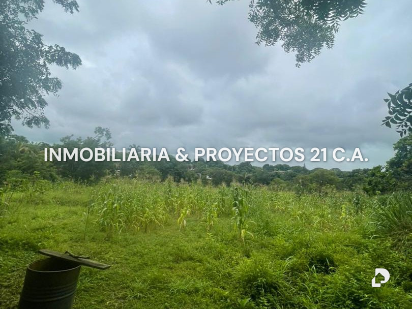 Terreno en Tinaquillo – 9