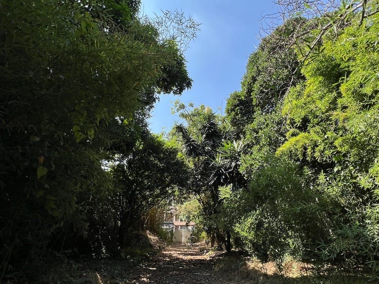 Terreno en Los Palos Grandes, Caracas - 1