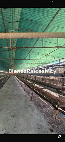 Finca en San Juan de los Morros – 2