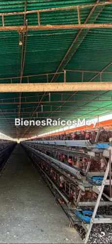 Finca en San Juan de los Morros – 5