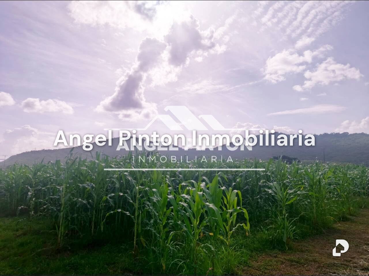 Finca en Agua Blanca, Araure – 4