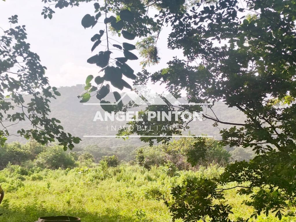 Finca en Agua Blanca, Araure - 1