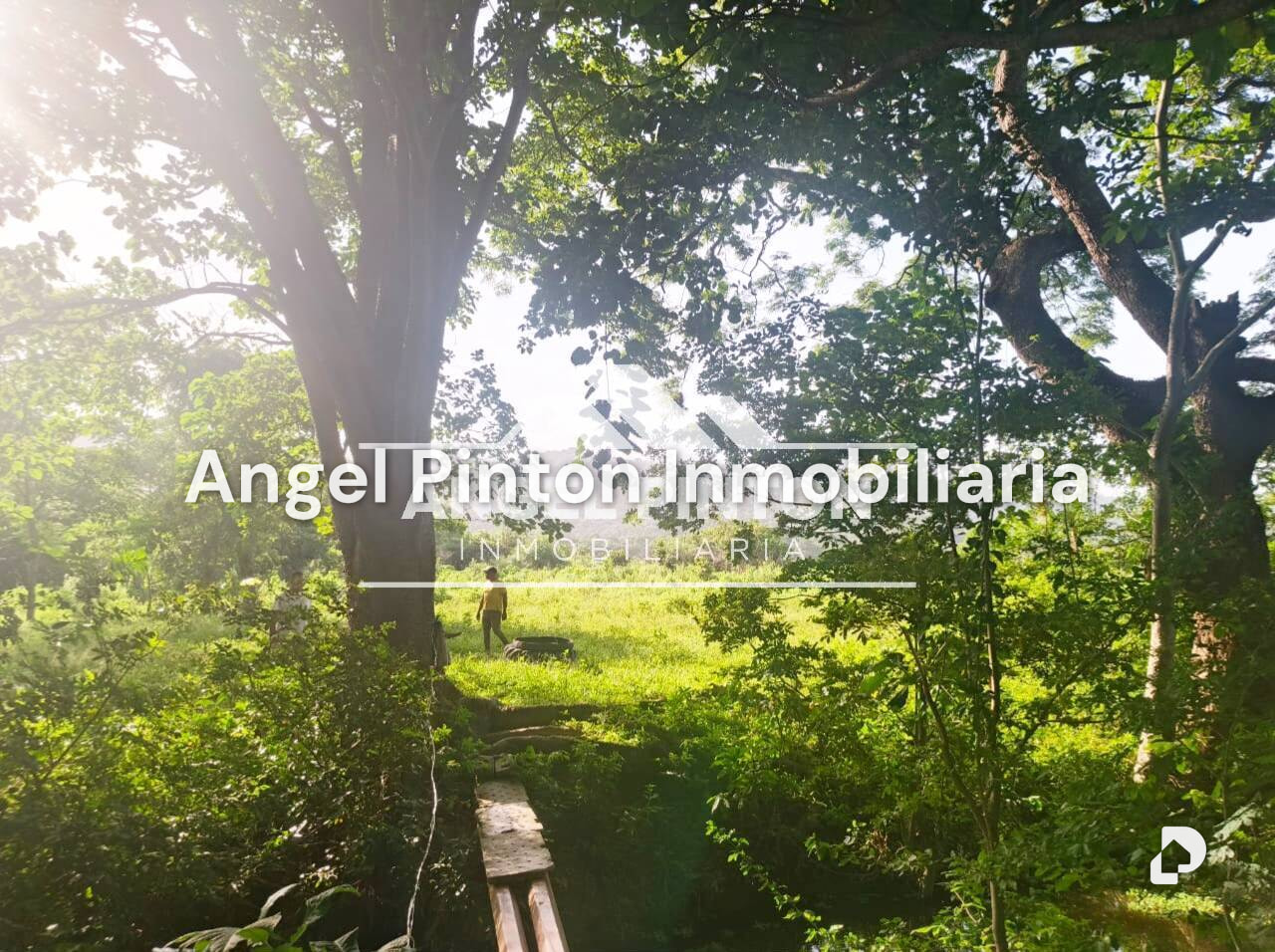 Finca en Agua Blanca, Araure – 2