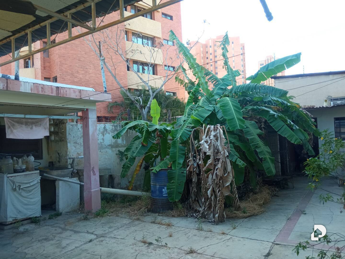 Local comercial en Cecilio Acosta, Maracaibo – 10