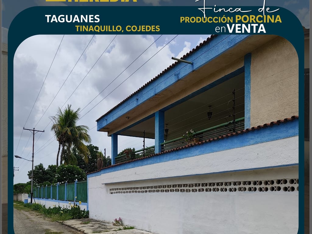 Finca en Taguanes, Tinaquillo - 1