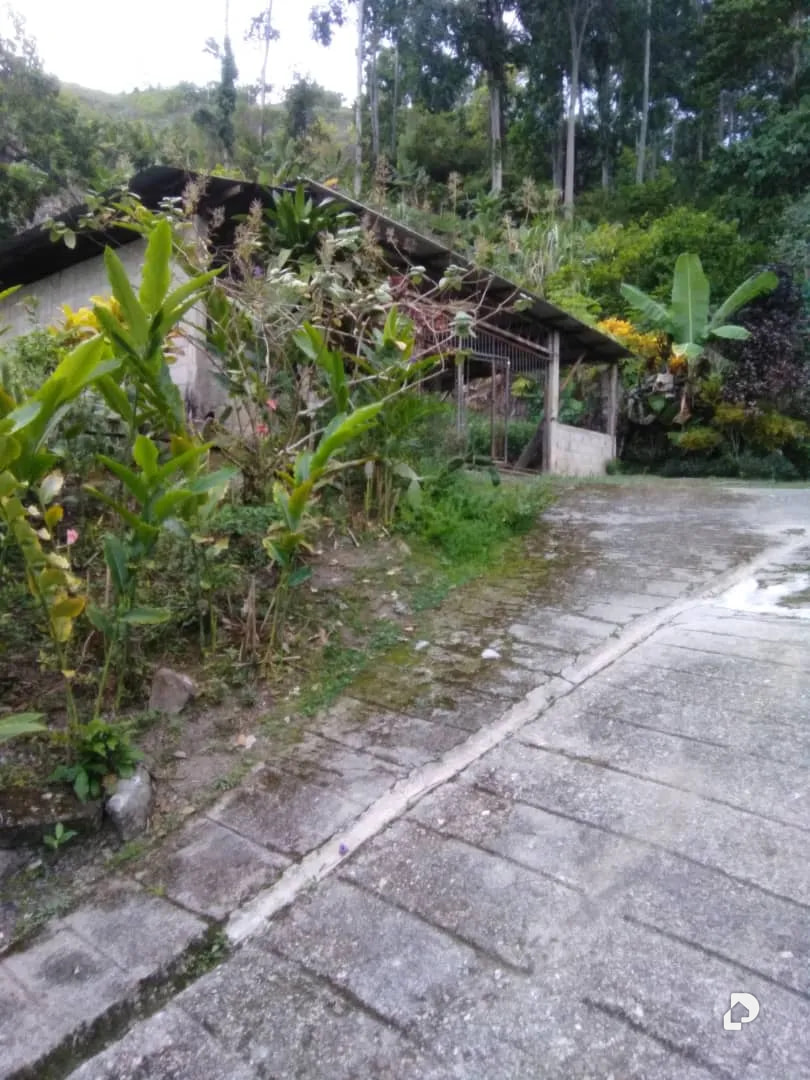 Finca en Aldea Santa Barbara, Zea – 7
