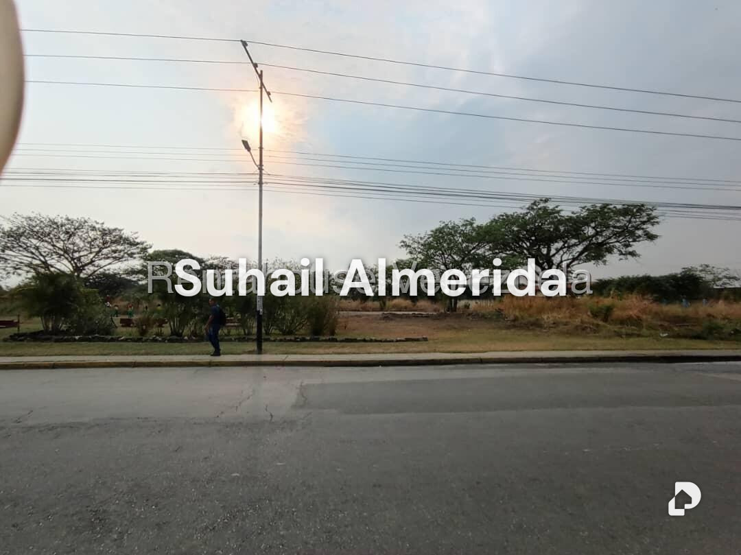 Terreno en Flor Amarillo, Valencia – 15