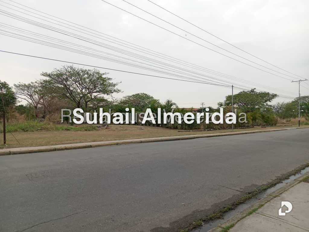 Terreno en Flor Amarillo, Valencia – 22