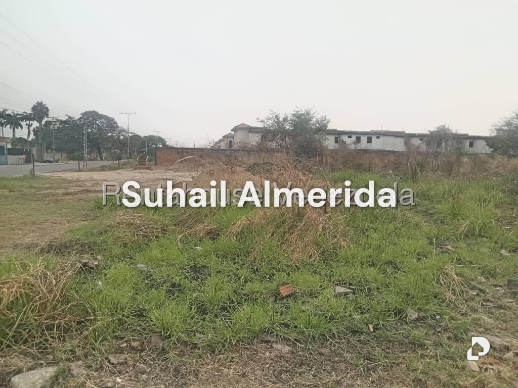 Terreno en Flor Amarillo, Valencia – 21