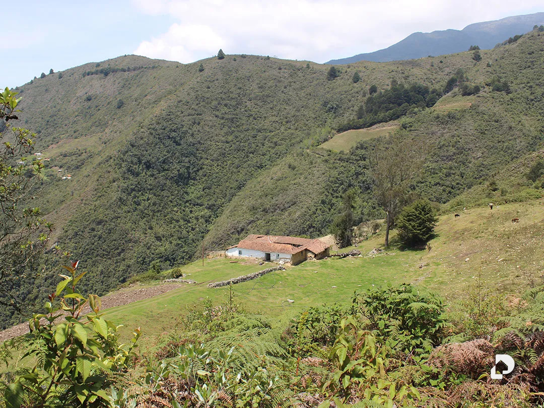 Finca en Cacute Alto, Cacute – 10
