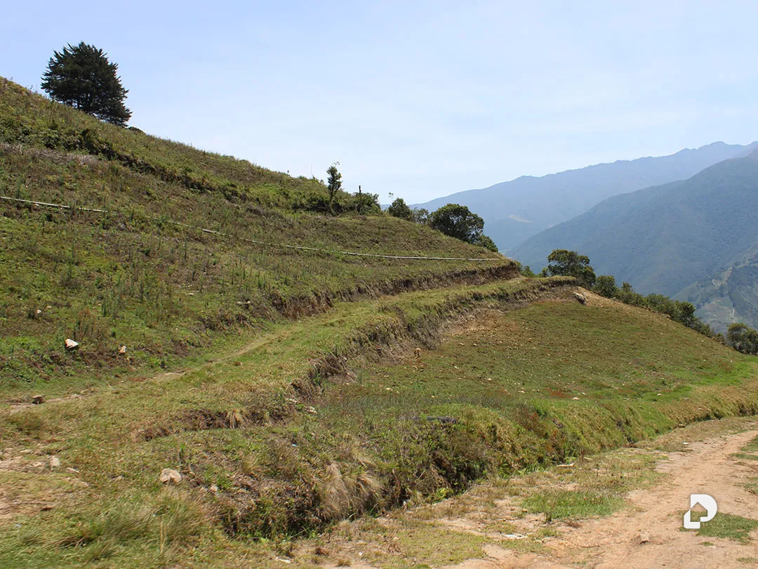 Finca en Cacute Alto, Cacute – 33