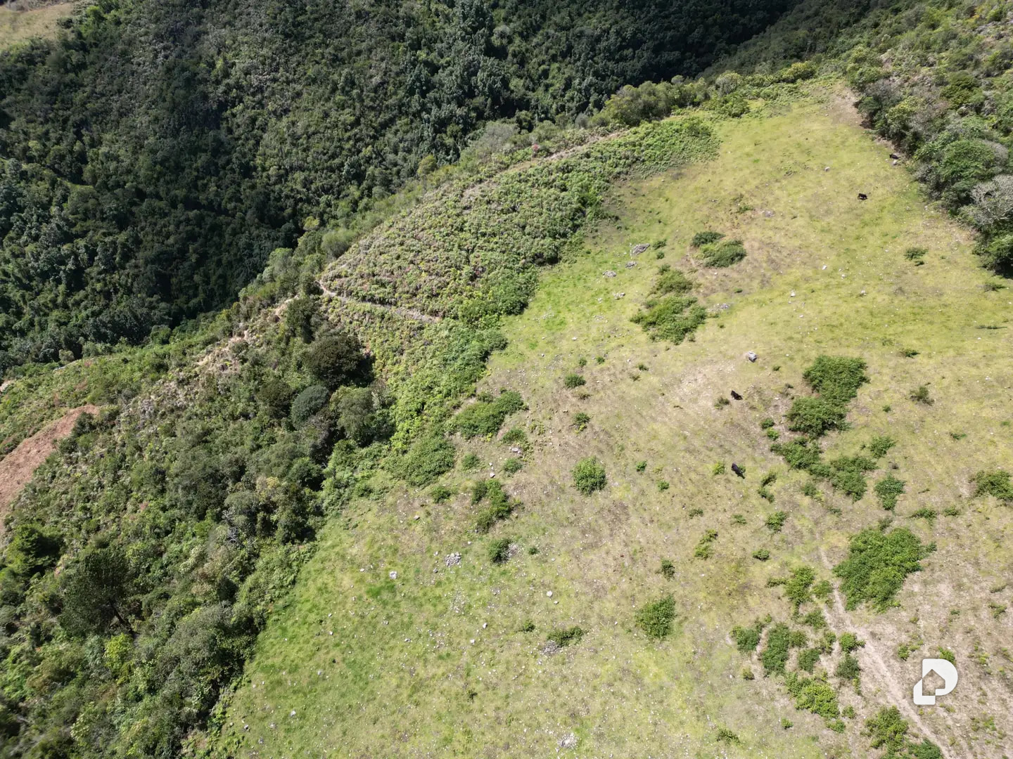 Finca en Cacute Alto, Cacute – 4