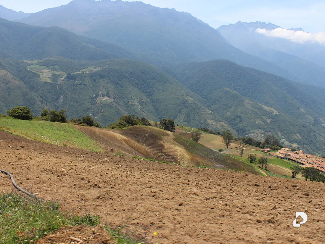 Finca en Cacute Alto, Cacute – 35