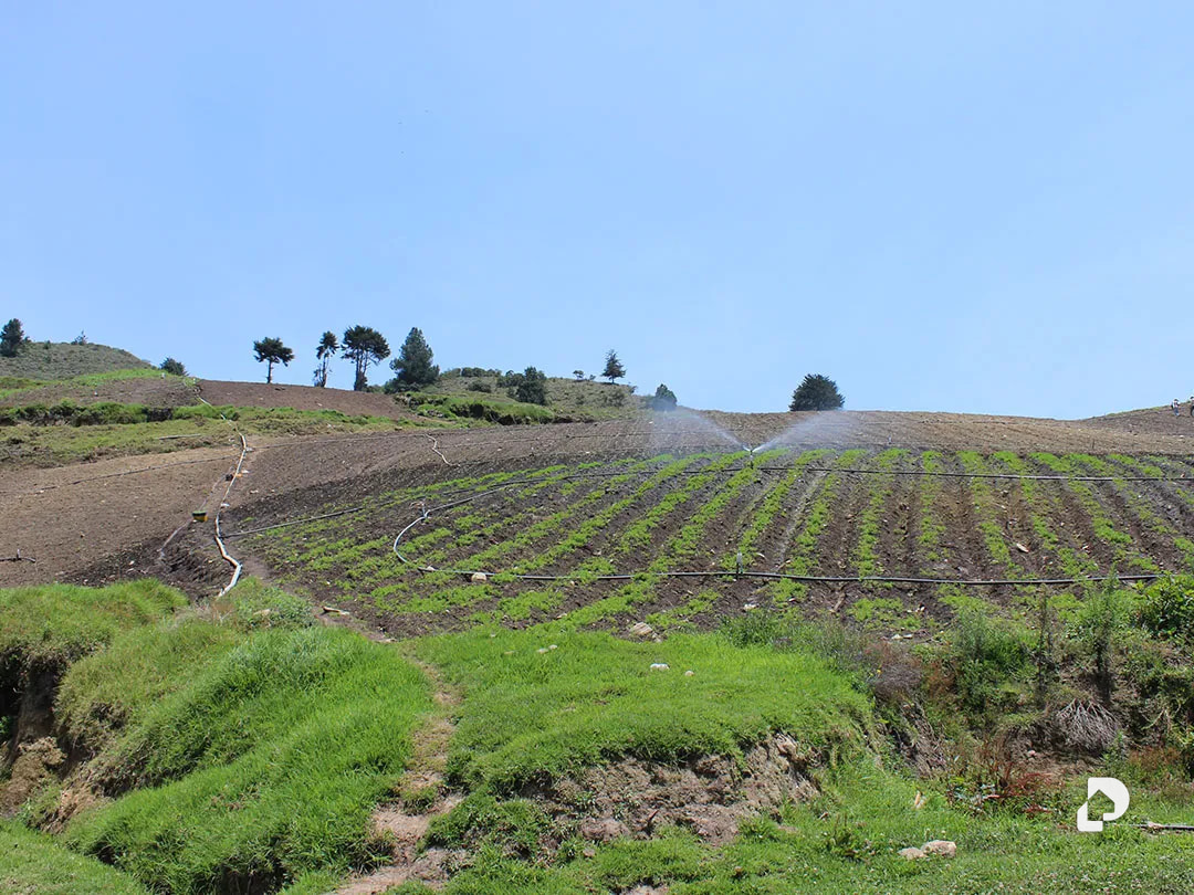 Finca en Cacute Alto, Cacute – 38