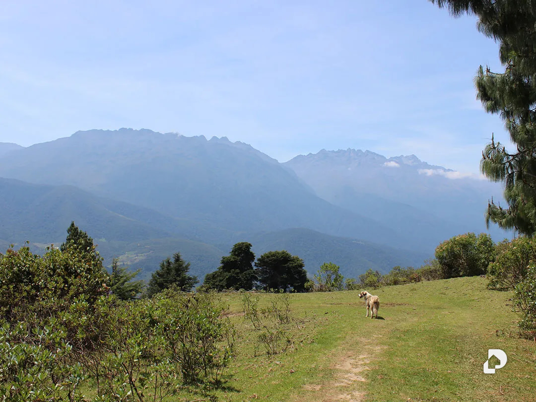 Finca en Cacute Alto, Cacute – 39