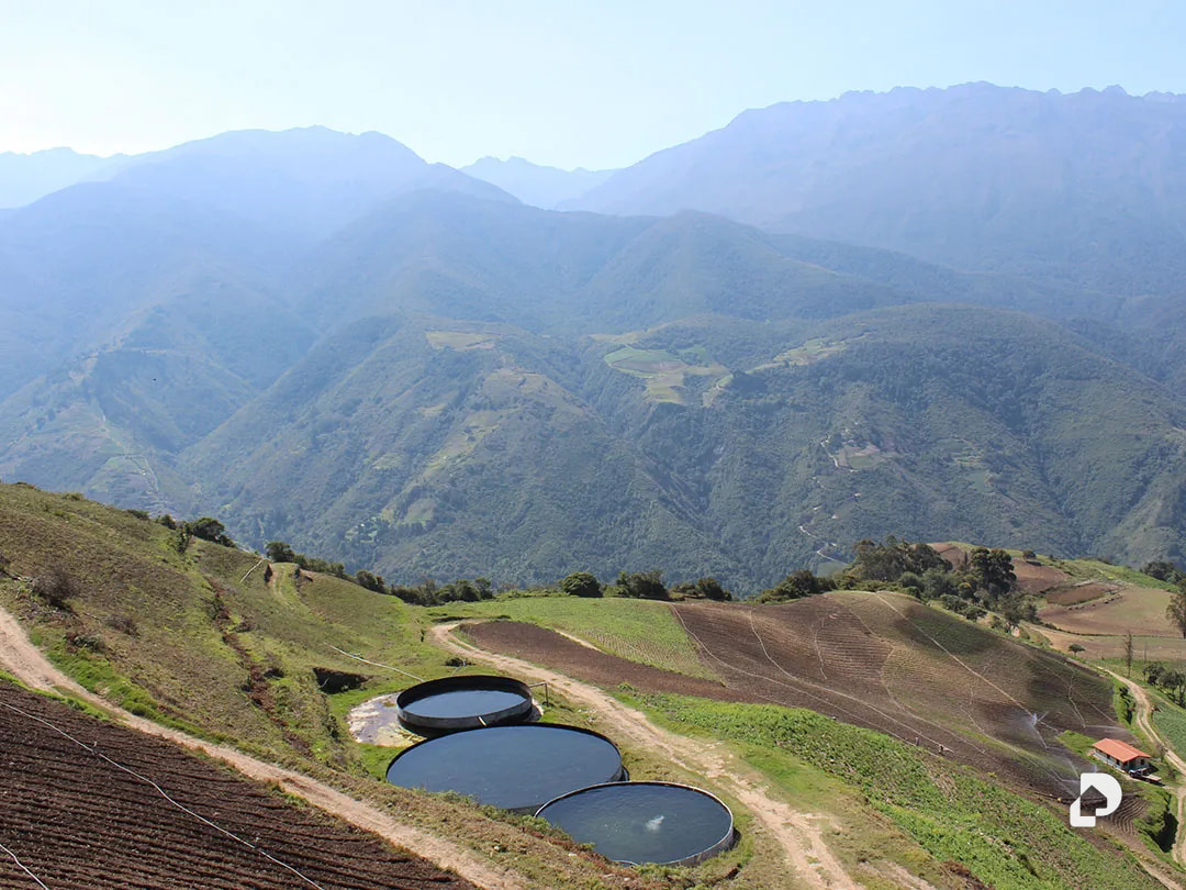 Finca en Cacute Alto, Cacute – 1