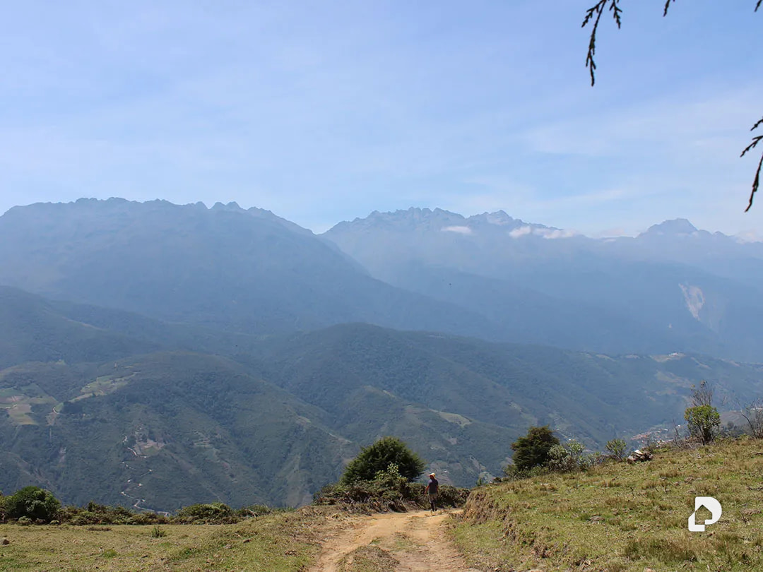 Finca en Cacute Alto, Cacute – 41