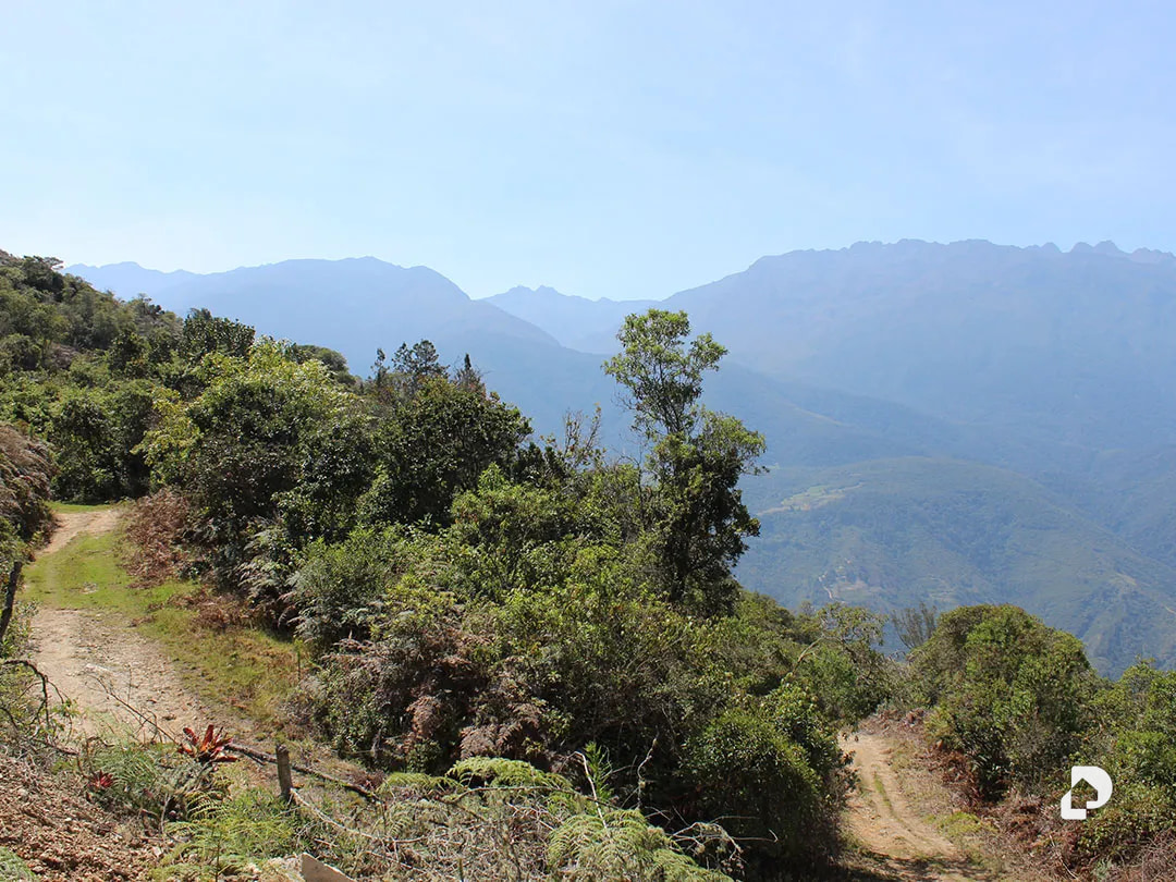 Finca en Cacute Alto, Cacute – 32