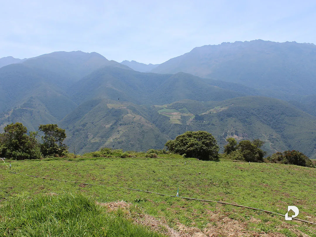 Finca en Cacute Alto, Cacute – 40