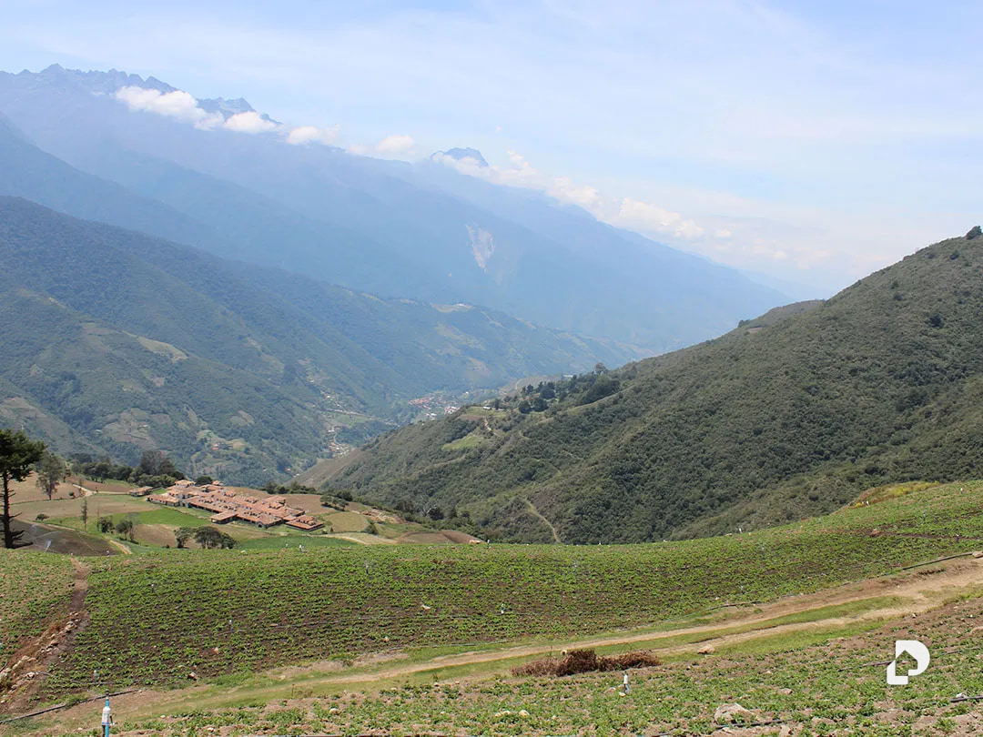 Finca en Cacute Alto, Cacute – 26