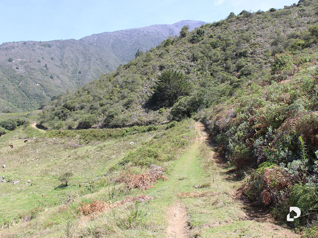 Finca en Cacute Alto, Cacute – 31