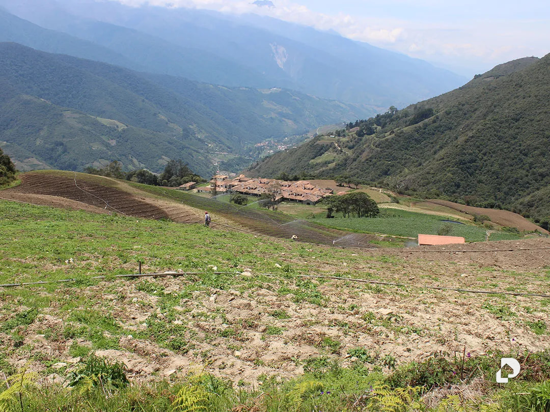 Finca en Cacute Alto, Cacute – 36