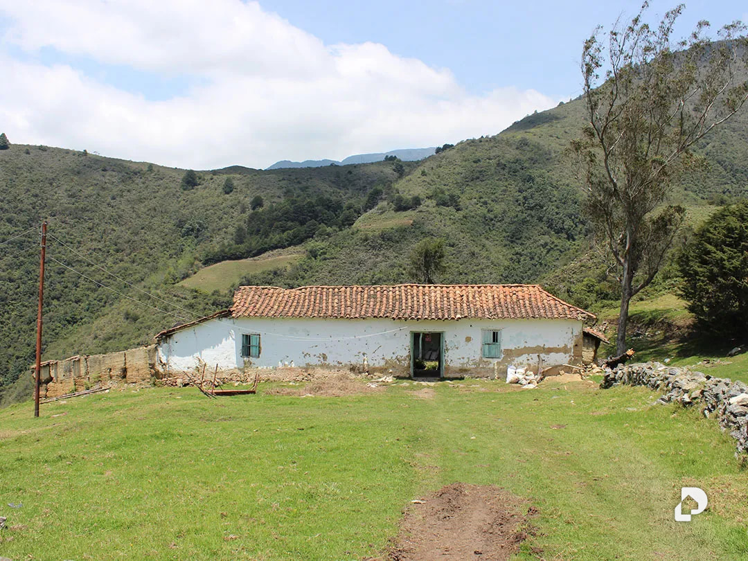 Finca en Cacute Alto, Cacute – 11