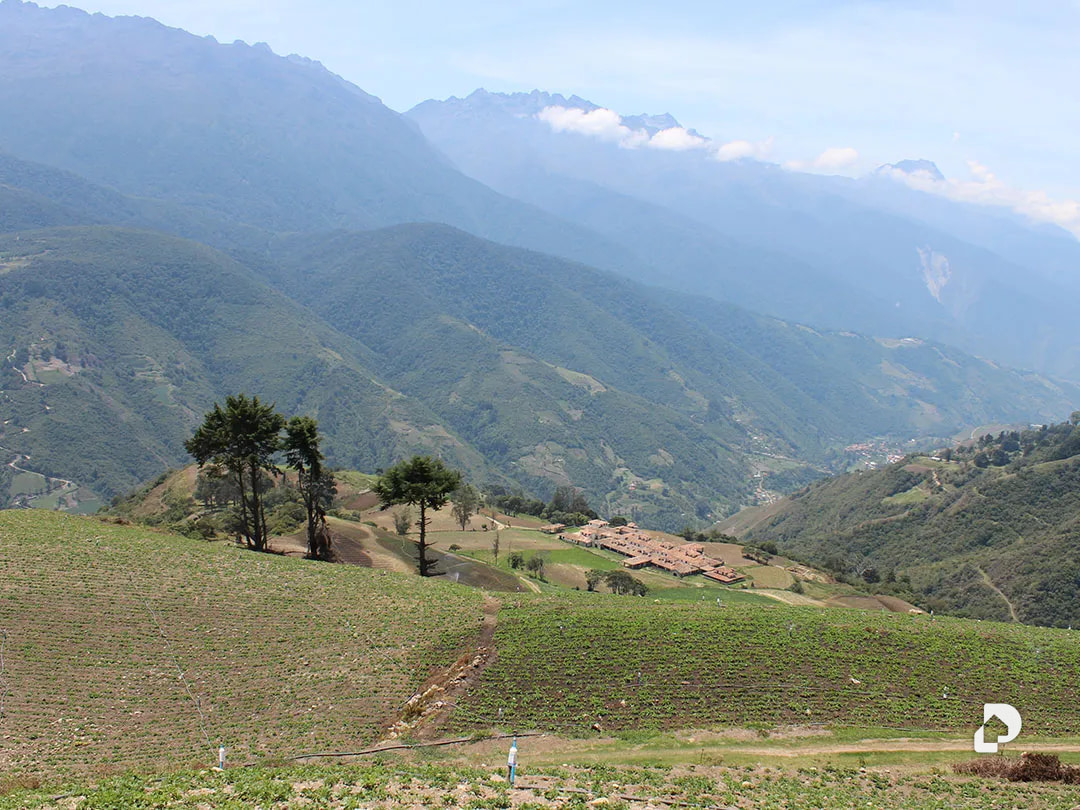 Finca en Cacute Alto, Cacute – 25