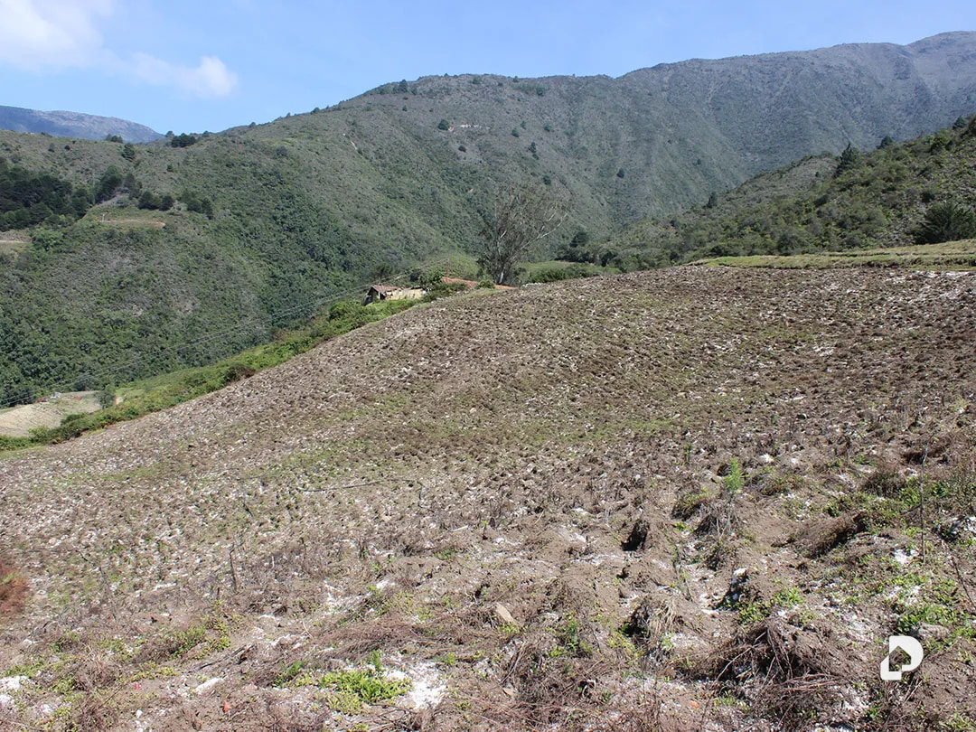 Finca en Cacute Alto, Cacute – 18