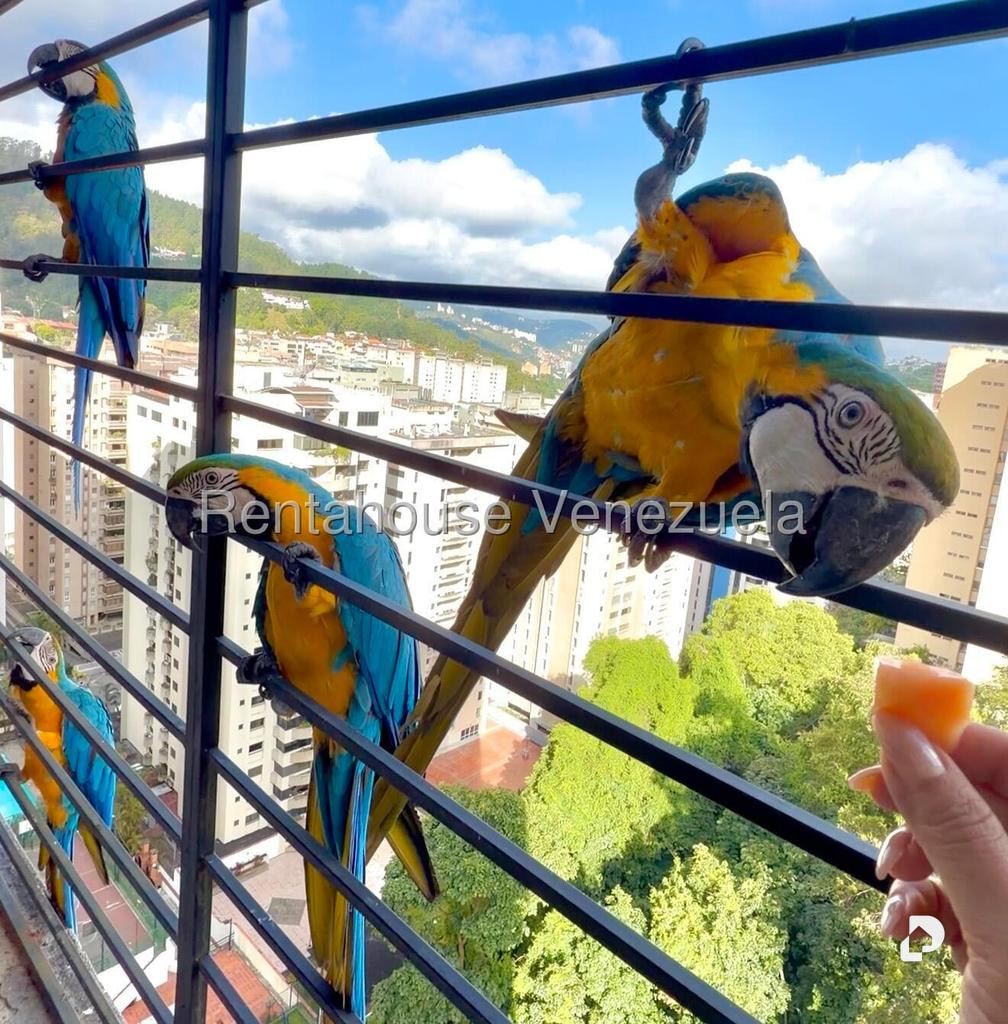 Apartamento en El Cigarral, Caracas