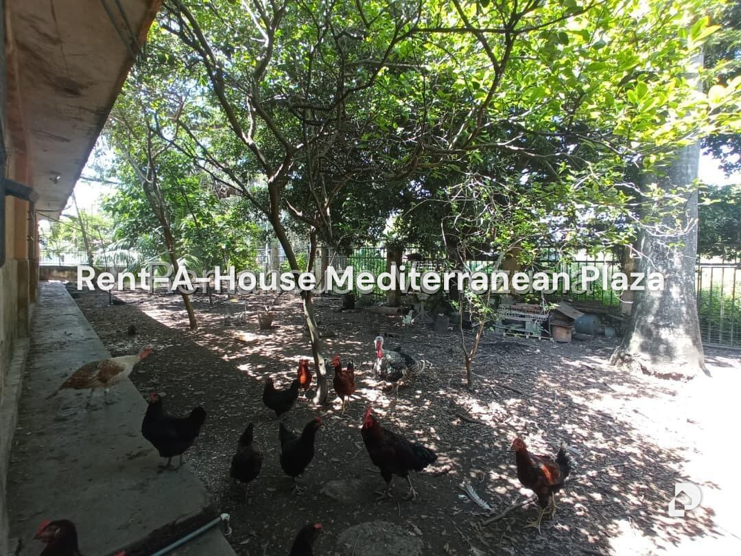 Casa en La Castellana, San Joaquín – 23