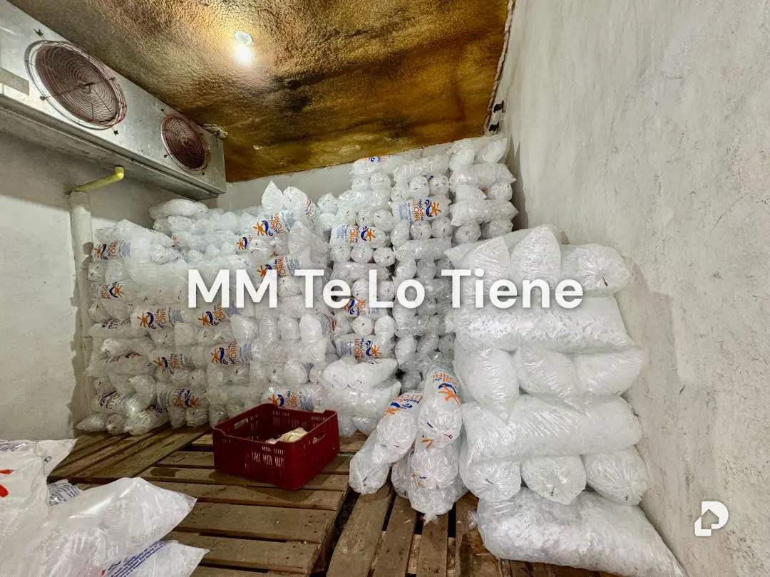 Warehouse in Catia La Mar – 1
