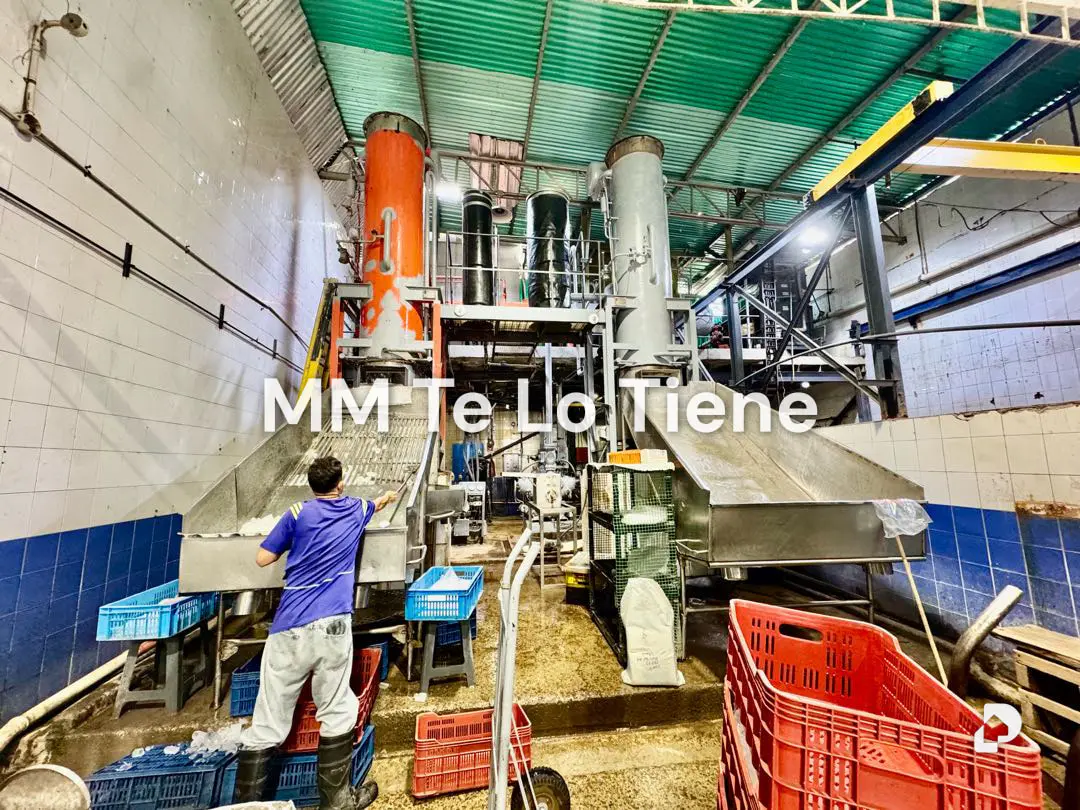 Warehouse in Catia La Mar – 4