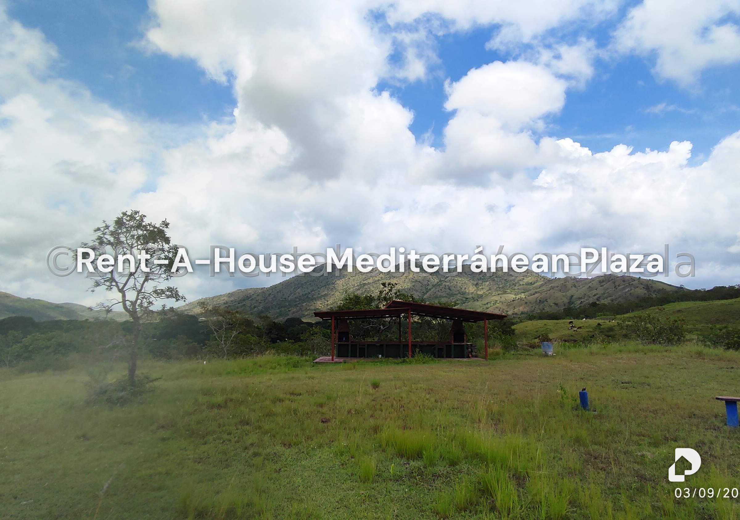 Finca en Banco Bonito, Tinaquillo – 9