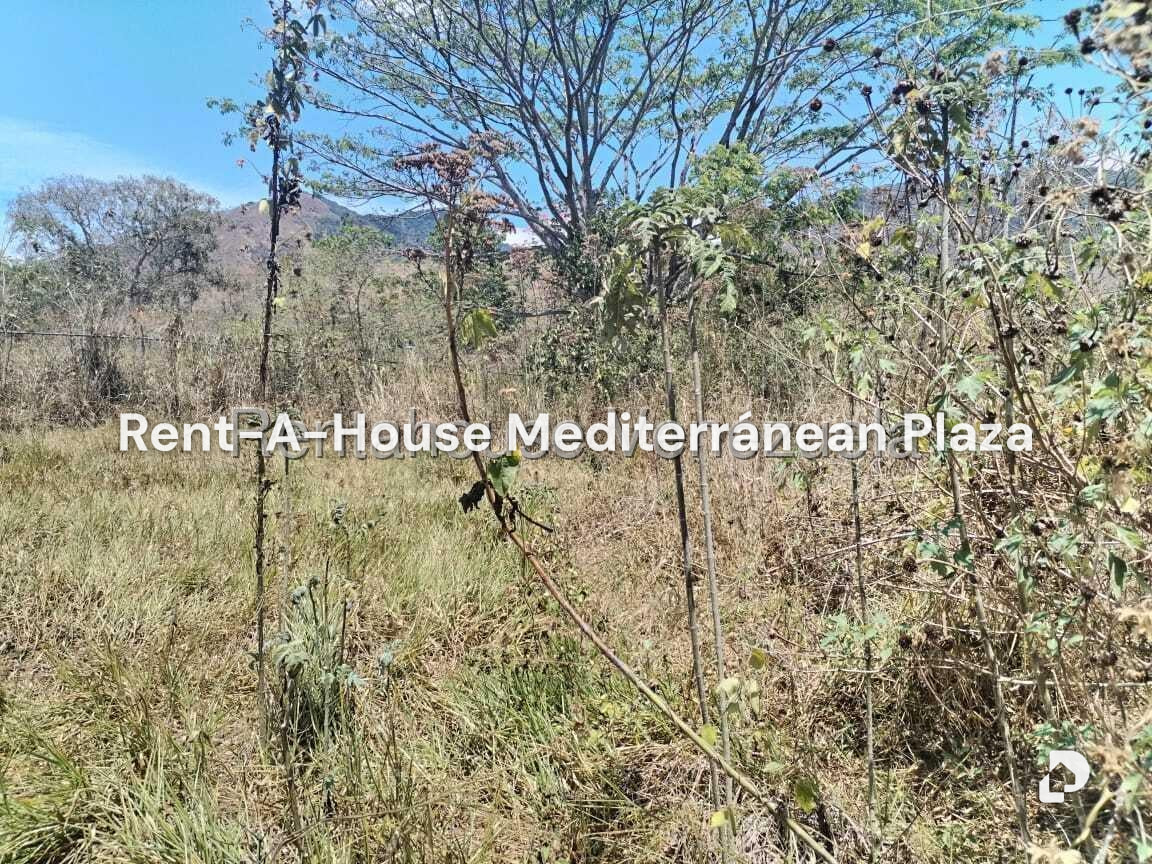 Land in Carialinda, Naguanagua – 2