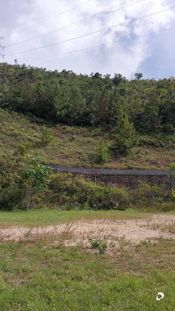Land in La Trinidad, Caracas – 7