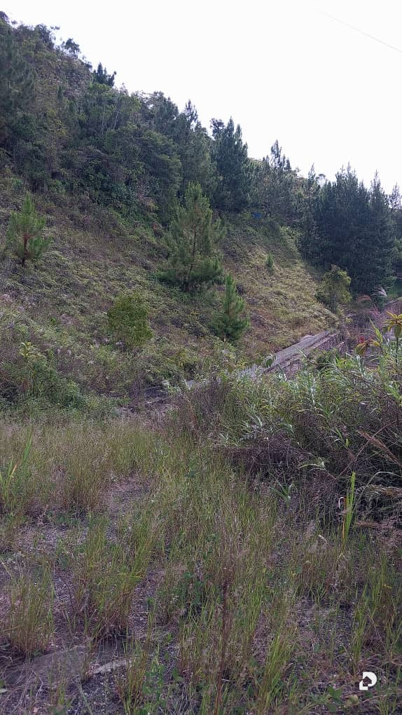 Land in La Trinidad, Caracas – 18