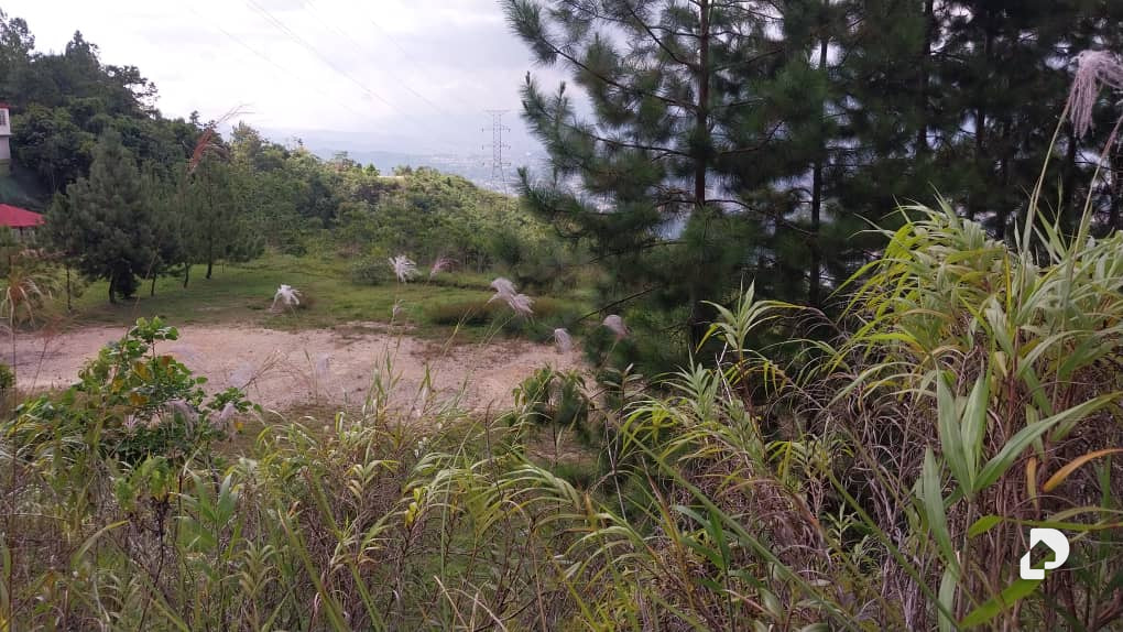 Land in La Trinidad, Caracas – 22