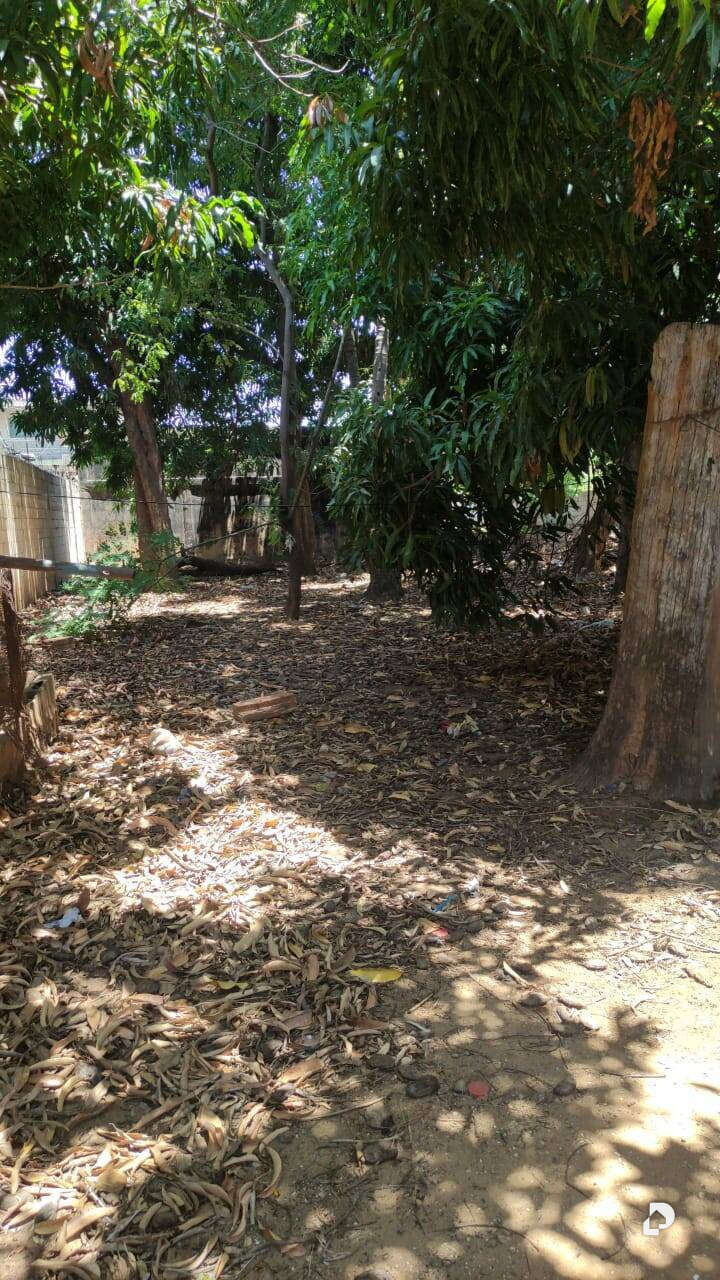 Terreno en Sierra Maestra, San Francisco