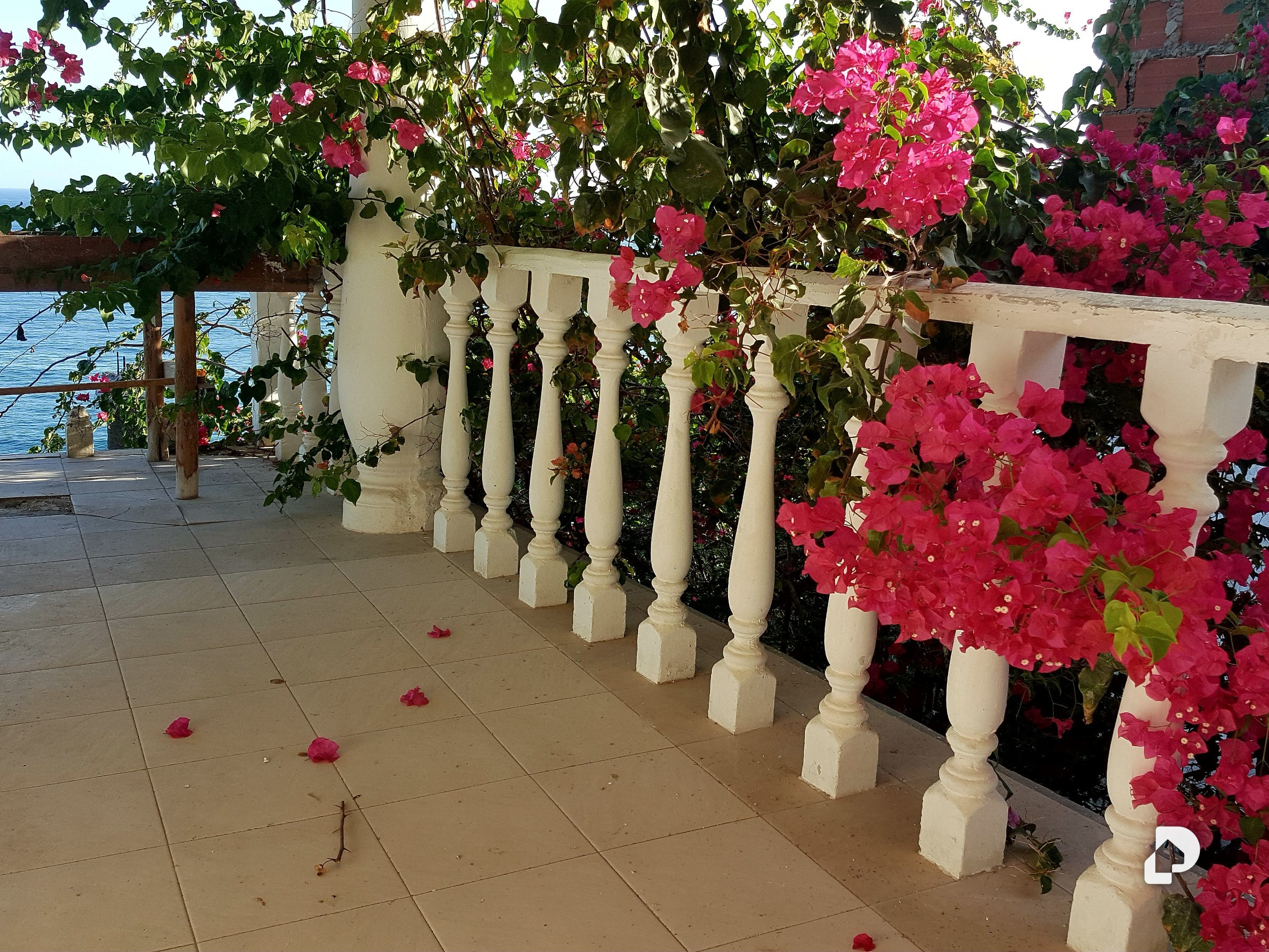 Casa en Las Tunitas, Catia La Mar – 6