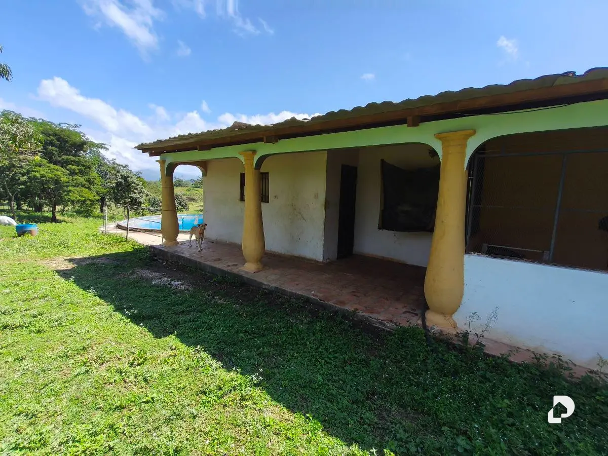 Finca en Barranca Amarilla – 1