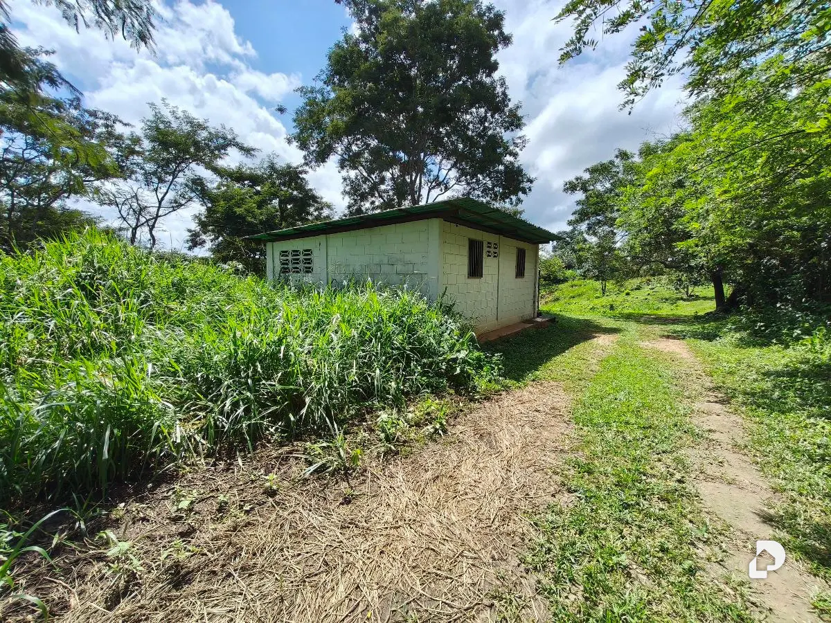 Finca en Barranca Amarilla – 12