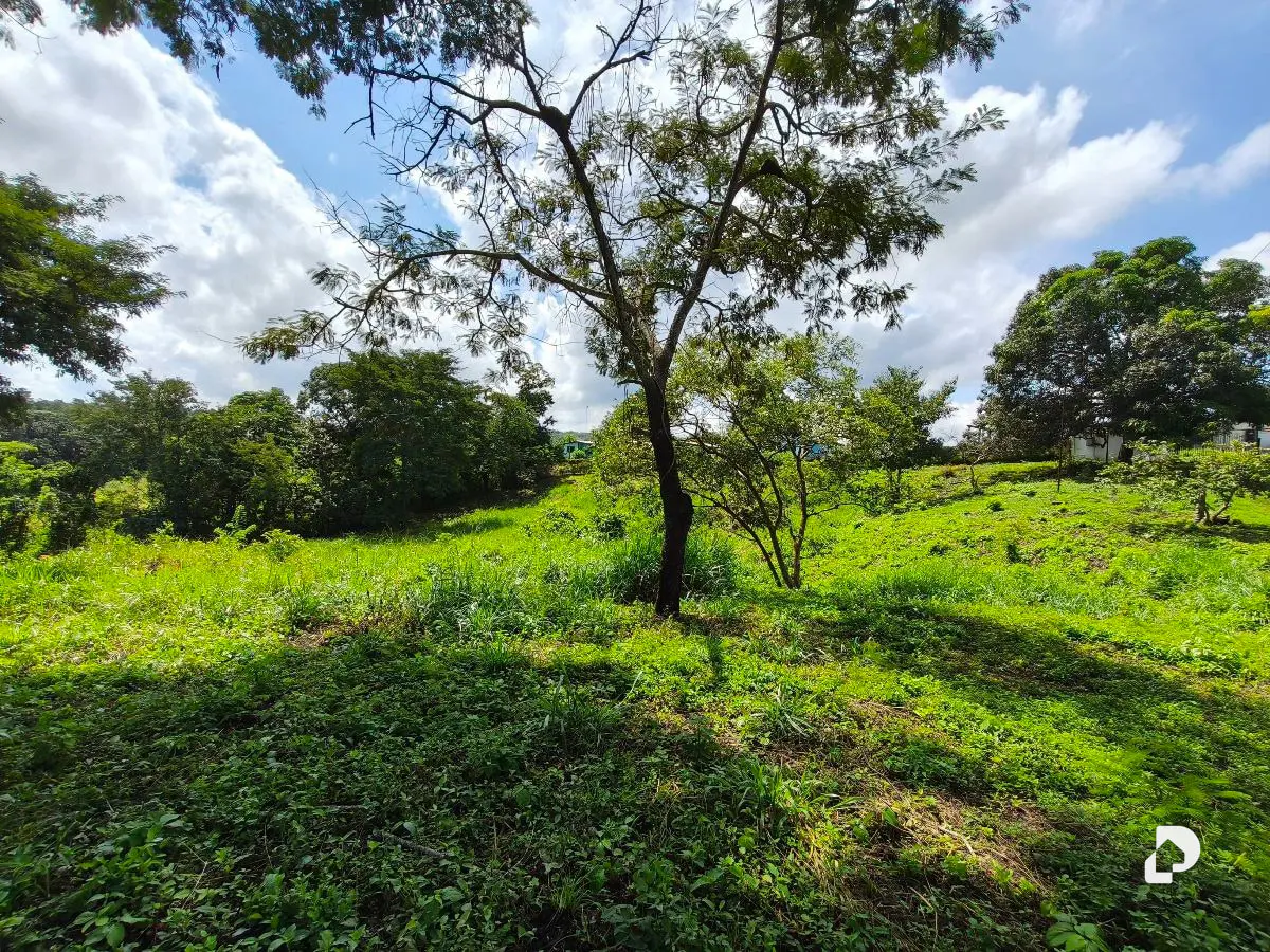 Finca en Barranca Amarilla – 11
