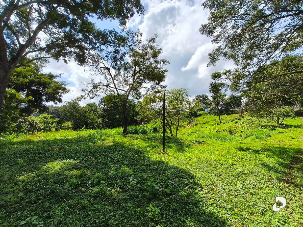 Finca en Barranca Amarilla – 10