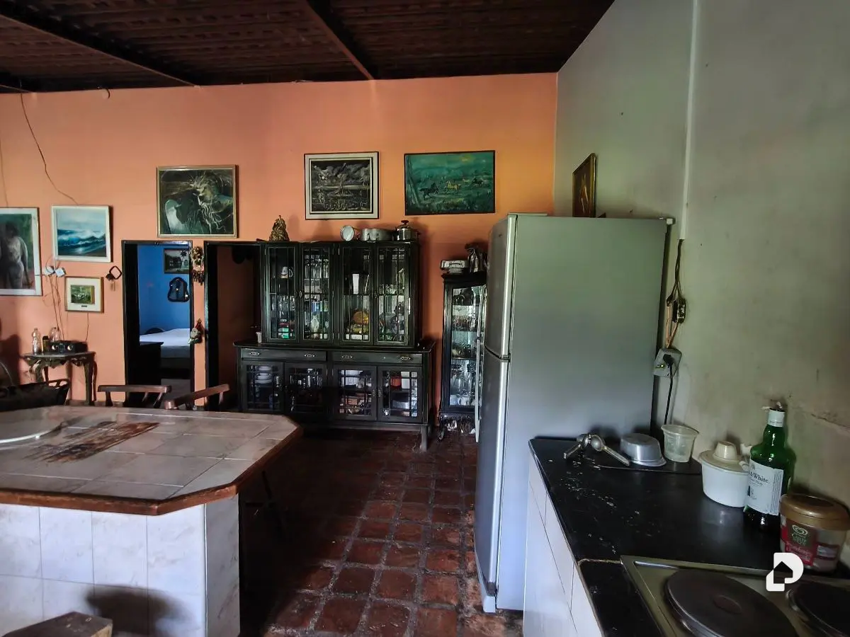 Finca en Barranca Amarilla – 23