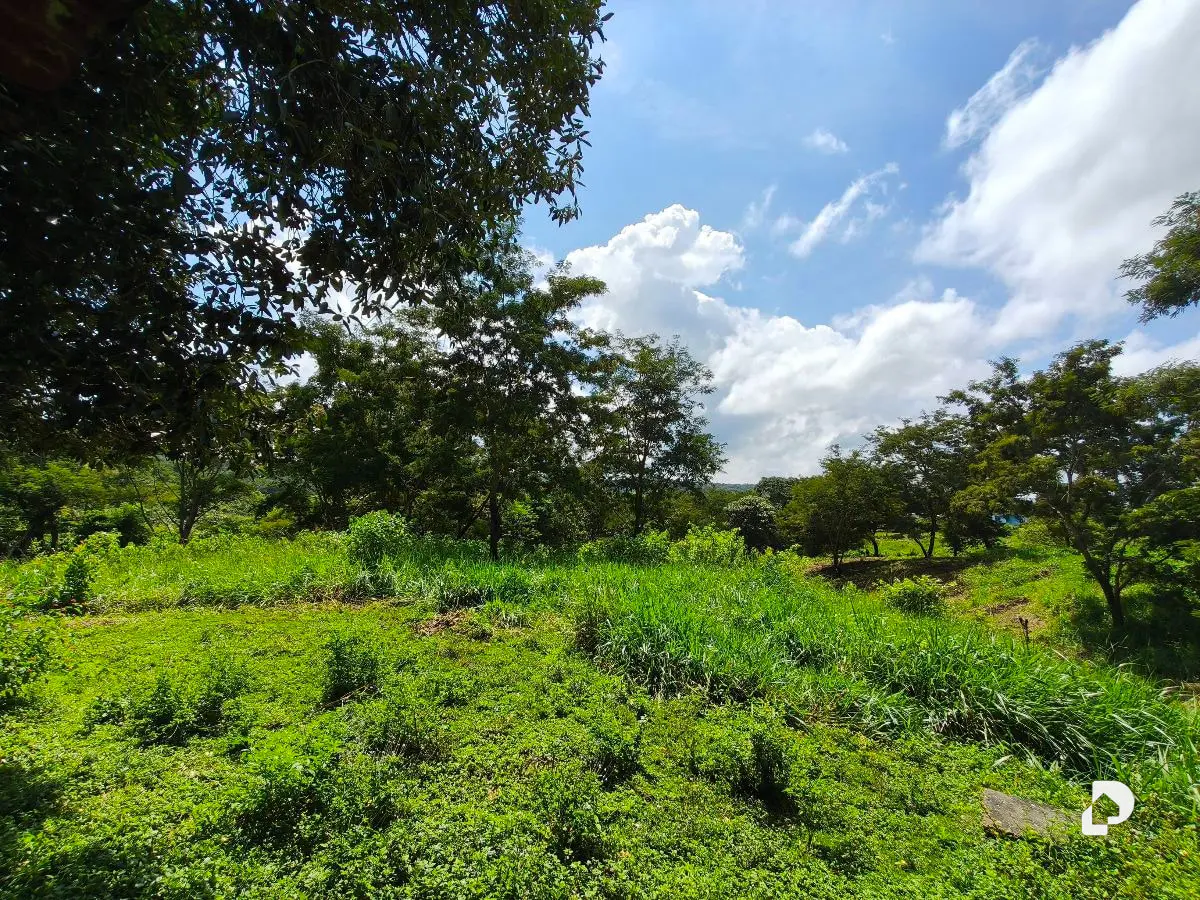 Finca en Barranca Amarilla – 14